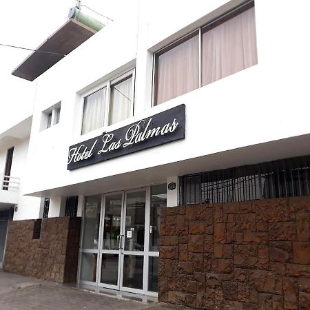 Hotel Las Palmas Arica Exteriér fotografie