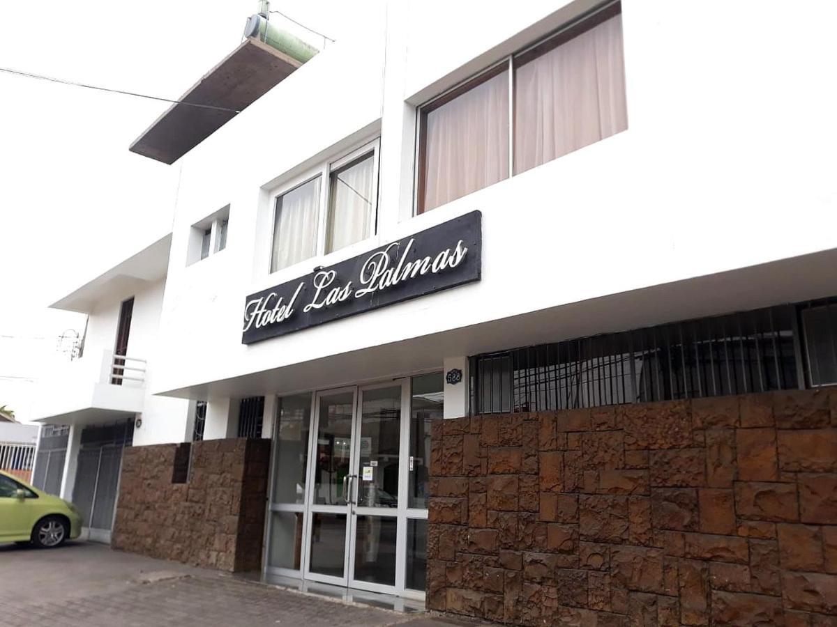 Hotel Las Palmas Arica Exteriér fotografie